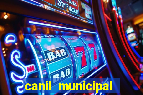 canil municipal porto alegre